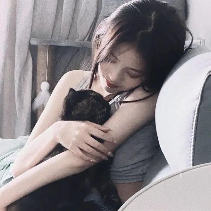 大使阁下的料理人